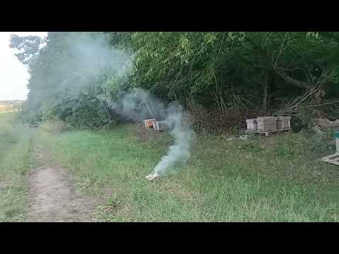 Видео: Кінець бджільництва !!! Кінець кіна шукайте двері ...