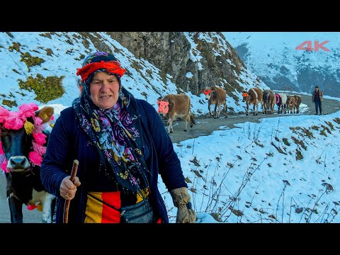 Видео: Когда наступит день переселения - вернитесь на плато Зорлу | Документальный фильм ▫️4K▫️