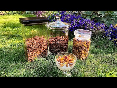 Видео: Домашняя Гранола /3 вида/ Шоколадно-банановая, экзотическая и не сладкая, для салатов и супов!