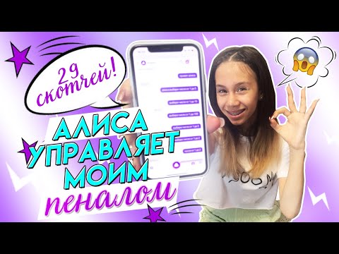 Видео: АЛИСА УПРАВЛЯЕТ👉 Пеналом и Канцелярией в 7 Класс