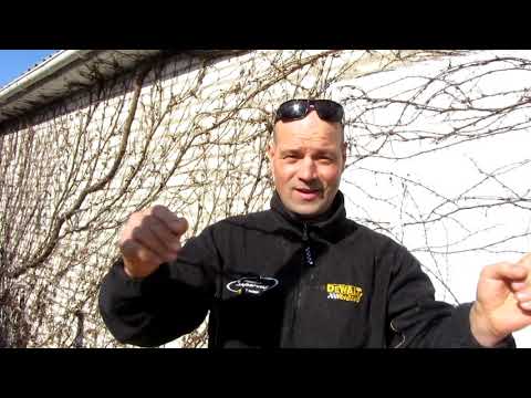 Видео: Виноград Вичи