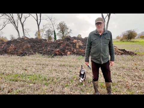 Видео: Подведены итоги сбора урожая 2025 года. Почему выращивание пшеницы в 2025 году лучше, чем ее выра...