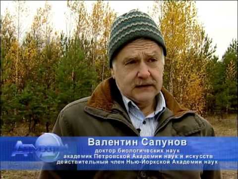 Видео: Удивительные и загадочные места Ленинградской области. Фильм 15