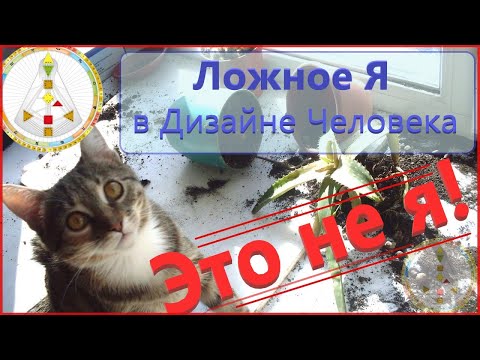 Видео: Ложное Я в Дизайне Человека