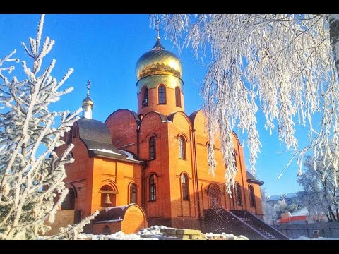 Видео: Ян Ливинский крестит детей 19.01.2025.