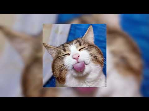 Видео: Натали-ветер с моря дул (sped up)