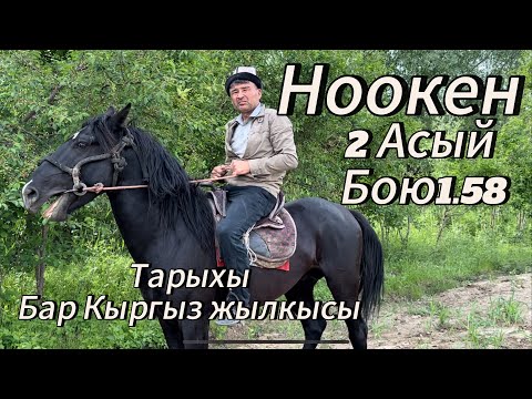 Видео: Таалай акеден  Ата теги кучтуАт чыкты