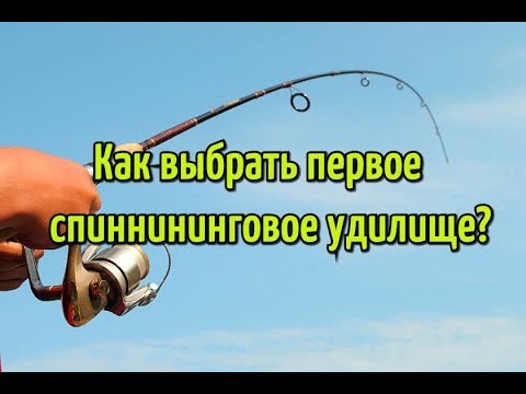 Видео: Как выбрать первый спиннинг? Выбор спиннинга для новичка