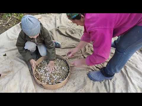 Видео: як хутенько злущити квасолю .