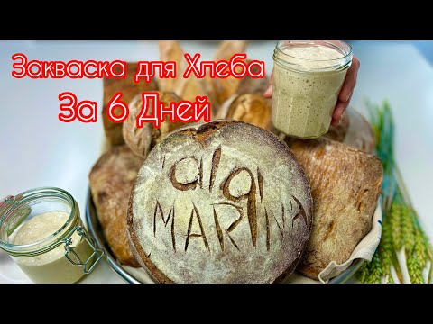 Видео: 🔥🔥ЗАКВАСКА для Хлеба от А до Я! БЫСТРОЕ Выведение! Все Тонкости и Секреты!