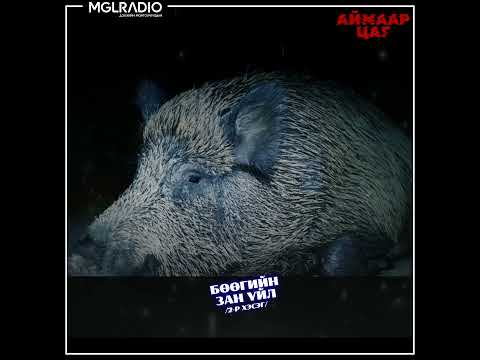 Видео: Аймаар цаг | 2025-05-15 | Хулгайч, Манаач, Нярав 3, Бөөгийн зан үйл 2-р хэсэг