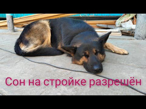 Видео: Стройка. Спор. Последний штрих.