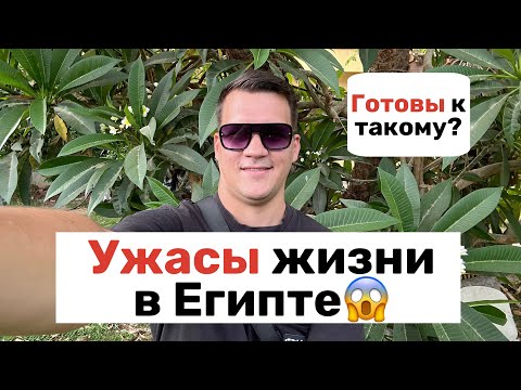 Видео: Ужасы жизни в Египте. Мало кто готов к такому…