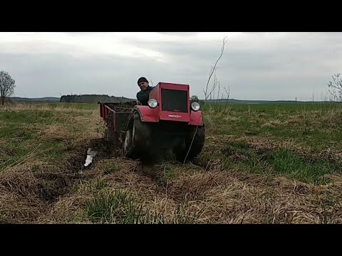 Видео: Гусеничный минитрактор возит перегной , открываем бурт , сажаем картошку под солому.