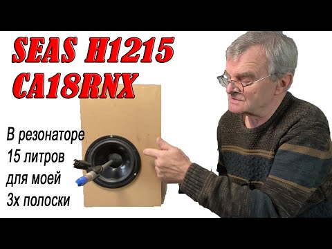 Видео: Басовый регистр моей 3-х полоски на SEAS H1215