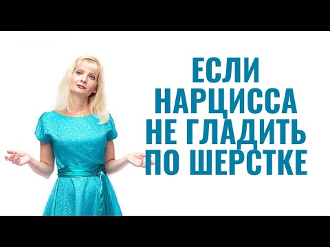 Видео: Если нарцисса не гладить по шерстке