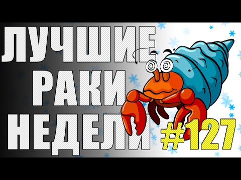 Видео: ЛРН выпуск №127. ЦВЕТ НАСТРОЕНИЯ КОРИЧНЕВЫЙ [Лучшие Раки Недели]