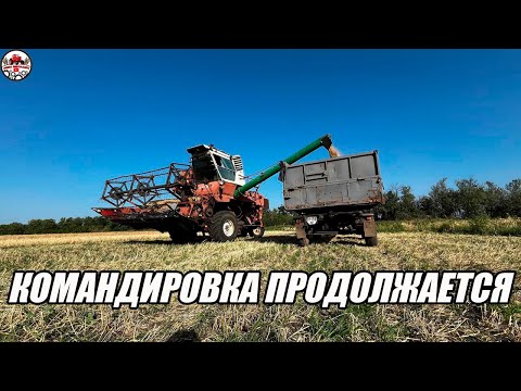 Видео: Убрали весь ячмень на малых участках! Погрузка измельчителя . ДОН 1500Б поехал на дальние  поля.