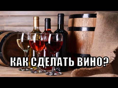 Видео: Как сделать вино из винограда