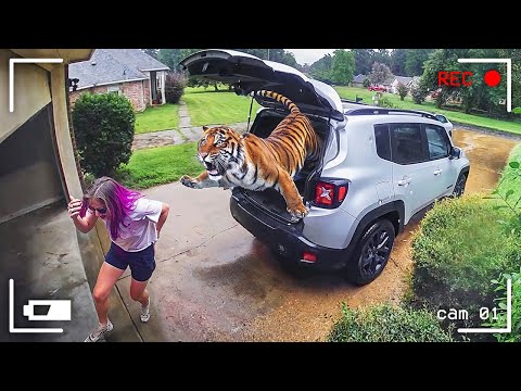 Видео: САМЫЕ НЕЛЕПЫЕ МОМЕНТЫ, СНЯТЫЕ НА КАМЕРУ НАБЛЮДЕНИЯ