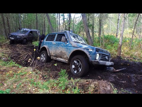 Видео: УАЗ Патриот СПАСАЕТ сломанную Ниву ИЗ ЛЕСНОГО АДА! УАЗ Хантер, Suzuki Escudo. Много мата