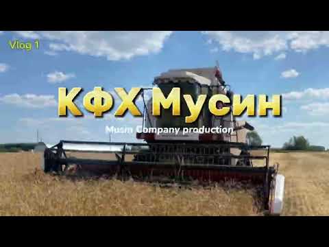 Видео: УБОРКА С КОМБАЙНОМ НОВА 340