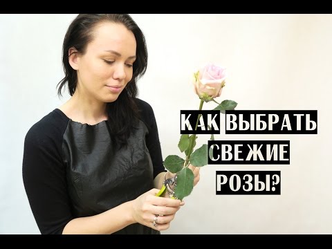 Видео: КАК ВЫБРАТЬ СВЕЖИЕ РОЗЫ? КАК СОХРАНИТЬ РОЗЫ ДОМА?
