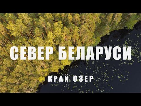 Видео: Невероятный регион Беларуси. Необычная кофейня, Эльмар, забег. Комплекс Красный Бор и дикие животные