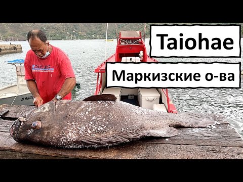 Видео: Маркизские острова, остров Нуку Хива, город Тайохае