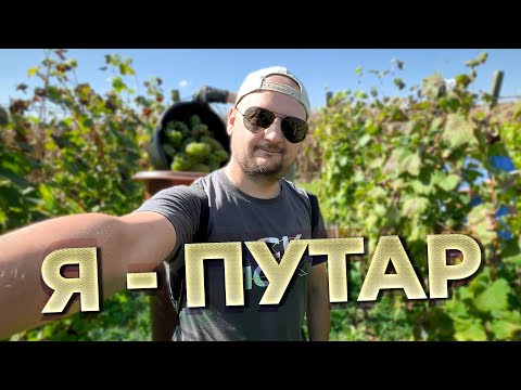 Видео: КАК Я СТАЛ ПУТАРОМ. Сбор винограда в Хорватии. Чемодан-Вокзал