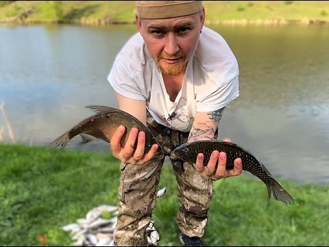 Видео: Первый Воин. Фидер. 28.04.2024