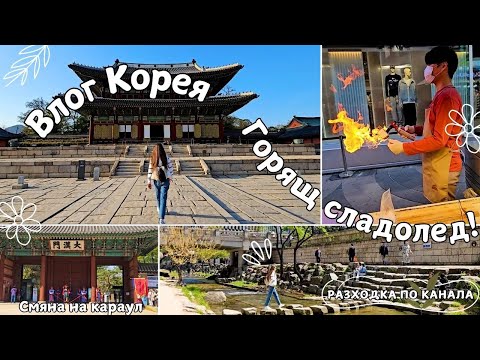 Видео: Южна Корея Влог: Дворци | Korea Palaces, Michelin Lunch & Myeongdong | Seoul Royal Guard Change