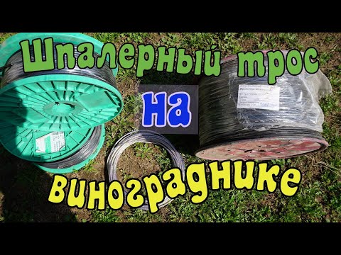 Видео: Виноград .Какой шпалерный трос выбрать?