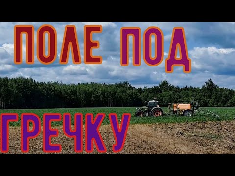 Видео: Клиент доволен - гречка будет.