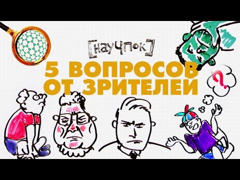 Видео: 5 вопросов от зрителей - Научпок