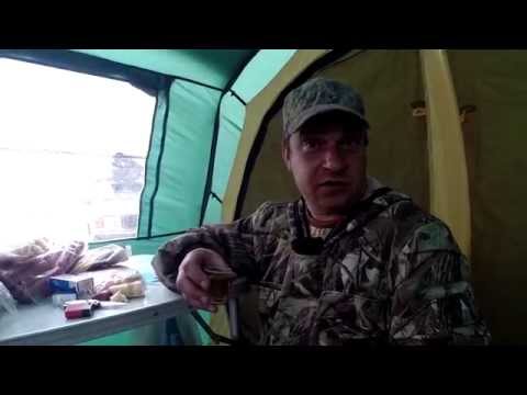 Видео: Рыба карась, игра началась! Часть 2