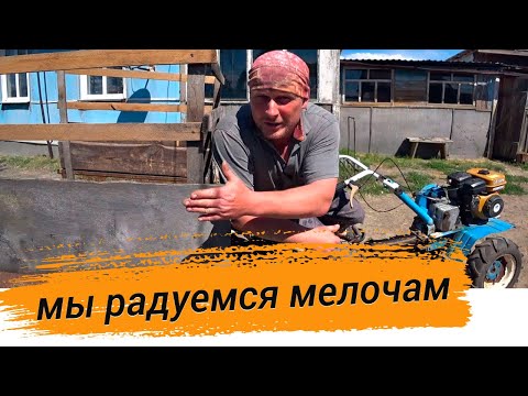 Видео: Закупаемся для будущей стройки. Последние новости из нашей жизни в деревне.