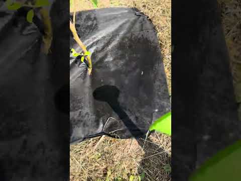 Видео: Геотекстиль Гео Стандарт 200 и неизвестный производитель. Отзыв