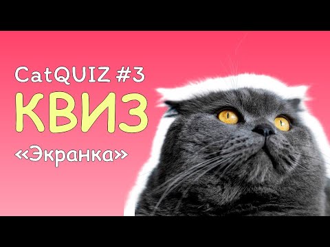 Видео: CatQUIZ #3 ЭКРАНКА-1 | КВИЗ