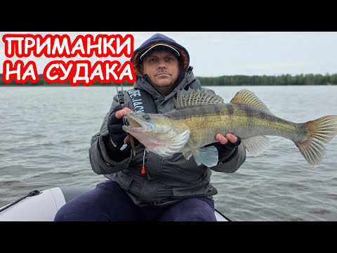 Видео: ПРИМАНКИ НА СУДАКА. ЛОВЛЯ СУДАКА НА ДЖИГ. РЫБАЛКА НА СПИННИНГ