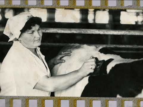 Видео: ЧИШМИКИОЙ (ИСТОРИЯ)