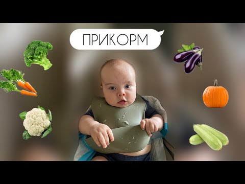 Видео: ПЕРВЫЙ ПРИКОРМ 😱НАШ ОПЫТ ПРИКОРМА 🎃