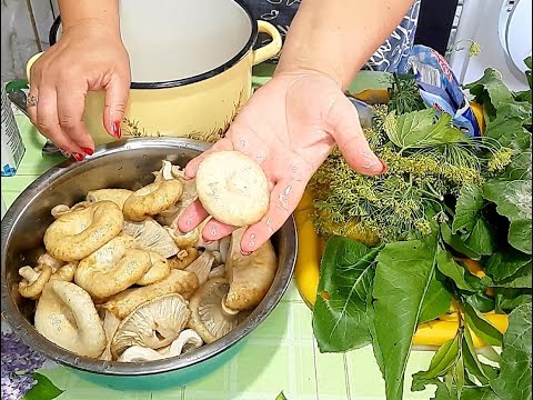 Видео: Самые #ВКУСНЫЕ #СОЛЕНЫЕ #ГРУЗДИ👍👍👍 #ГРУЗДИ #СОЛЕНЫЕ в #РАССОЛЕ на #ЗИМУ