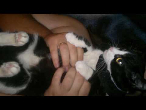 Видео: НАША КРАСАВИЦА НА МОСТУ РАДУГИ!ЛОВИТЕ КАЖДЫЙ МИГ,ЖИЗНЬ ТАК КОРОТКА!