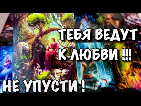 Видео: 🪽ВЫСШИЕ СИЛЫ ДАЮТ ВАМ💫АБСОЛЮТНО НОВЫЙ ШАНС НА СЧАСТЬЕ‼️
