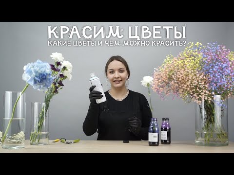 Видео: Как безопасно и качественно покрасить цветы?
