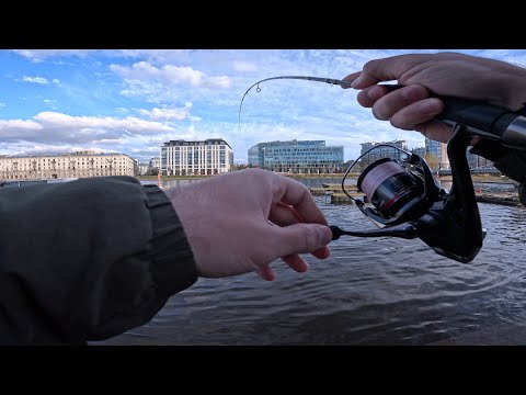 Видео: МИКРОДЖИГ. ОГРОМНЫЕ ОКУНИ НА МАЛОЙ НЕВКЕ