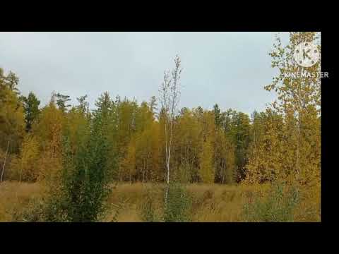 Видео: "Көмүс күһүн" -фотопрезентация