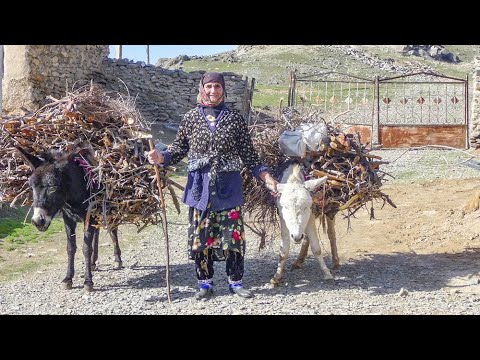 Видео: Очень Жаркое Лето!Узбекистан во всей его Красе!