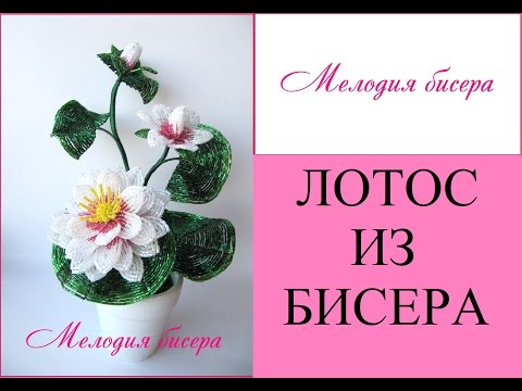 Видео: ЛОТОС из БИСЕРА - мастер-класс. Урок 3/3 - Сборка композиции